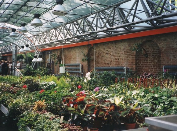 Reconstruction of Prague Castle Orangery